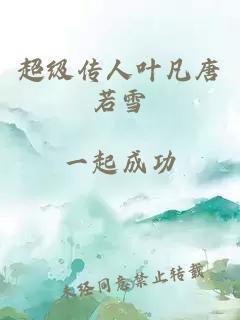 超级传人叶凡唐若雪